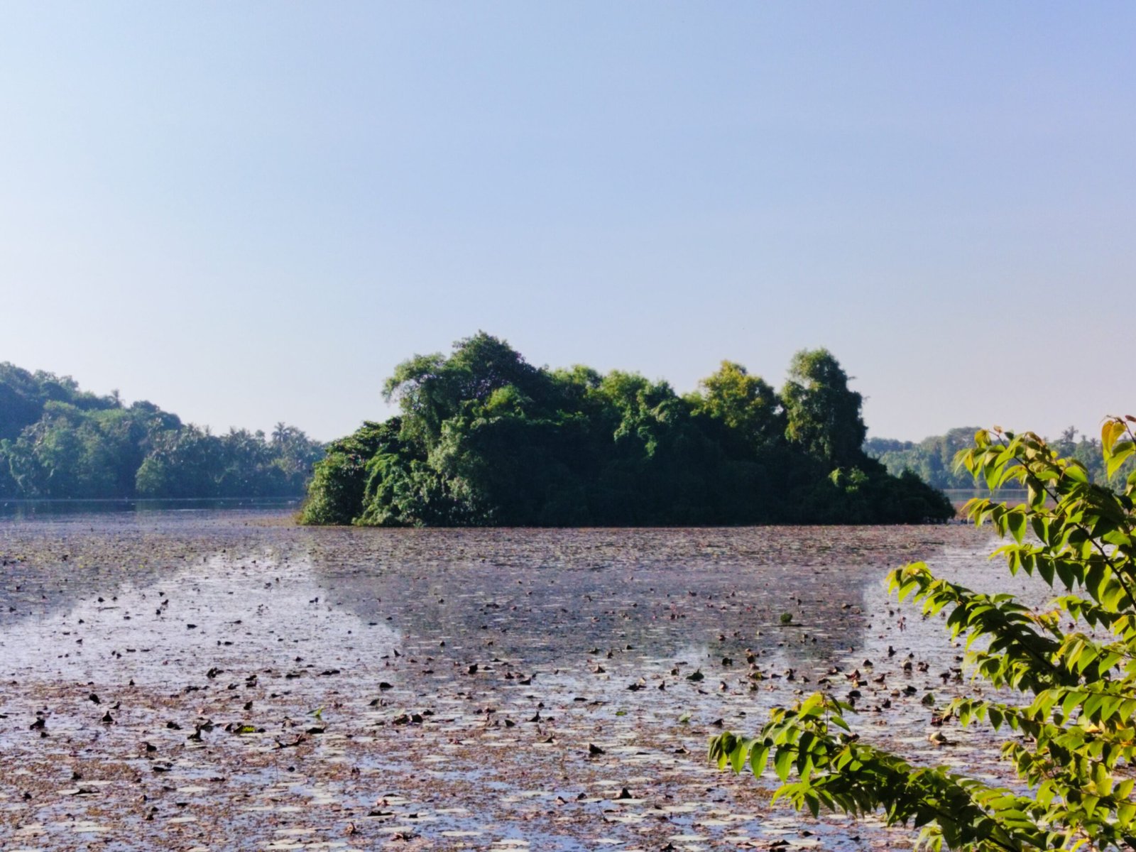 Calm backwater lagoon near Hiriketiya beach, Sri Lanka