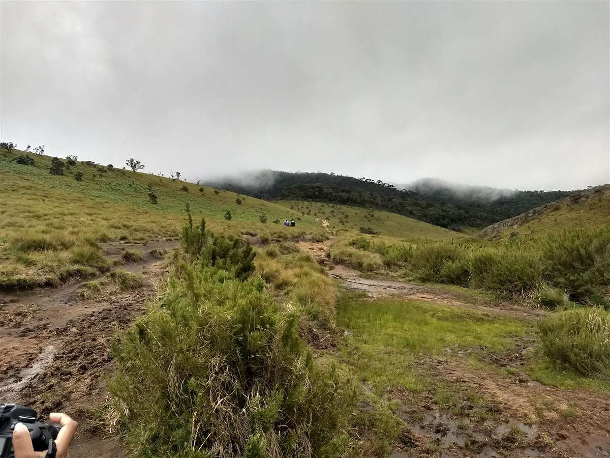 Misty hiking trail through Sri Lanka's highlands