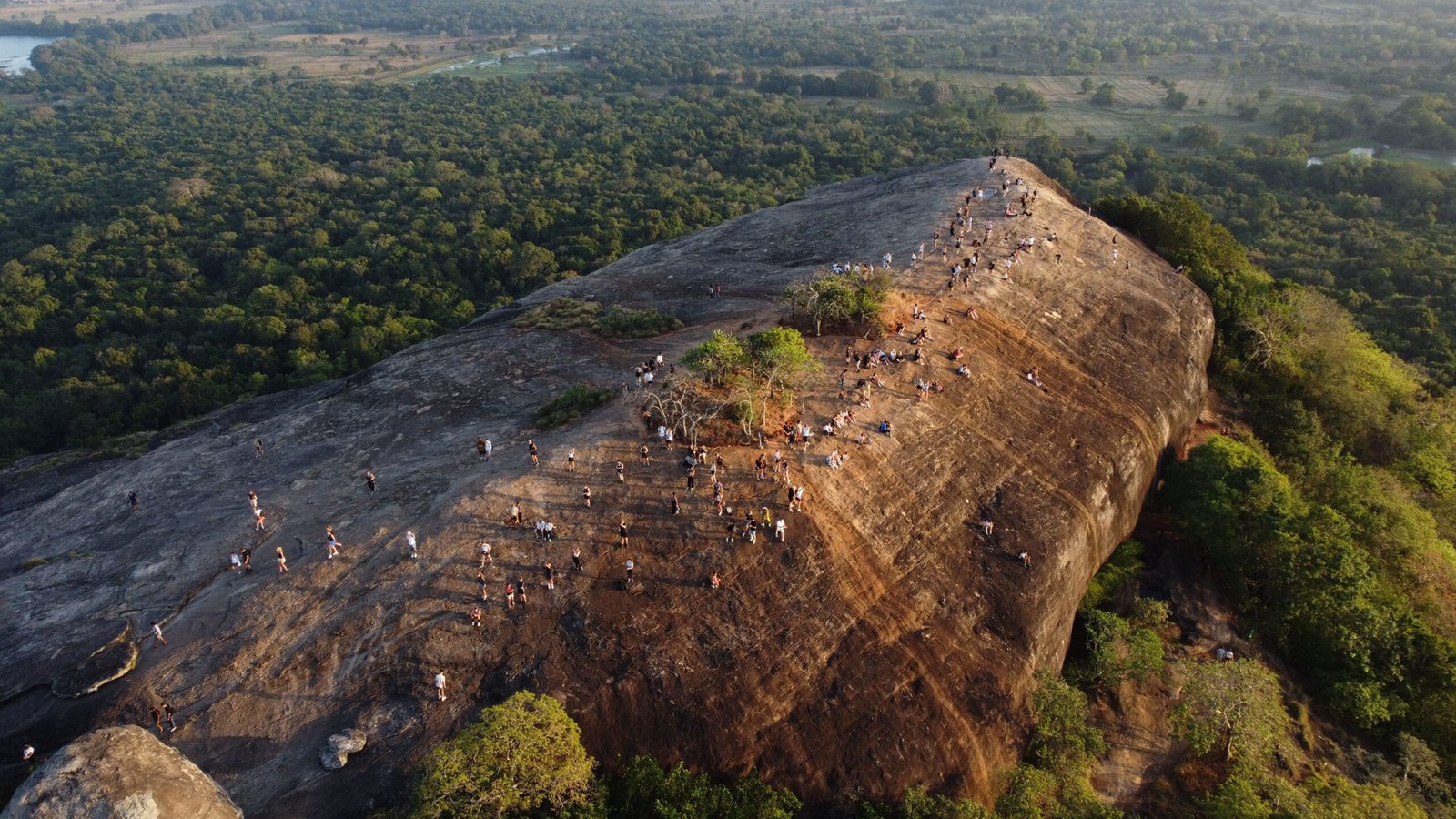 Wildlife Safari Adventure — Sri Lanka wildlife tour package